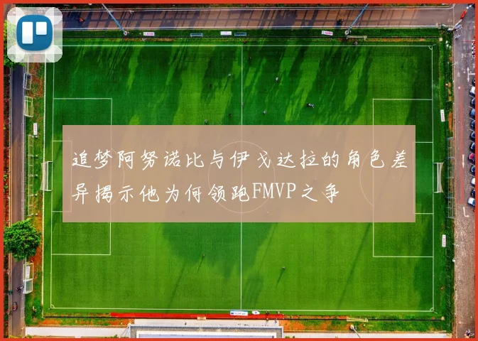 追梦阿努诺比与伊戈达拉的角色差异揭示他为何领跑FMVP之争