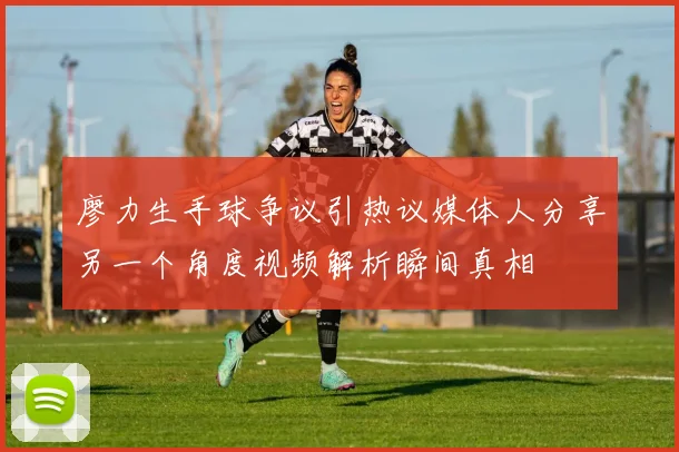 廖力生手球争议引热议媒体人分享另一个角度视频解析瞬间真相